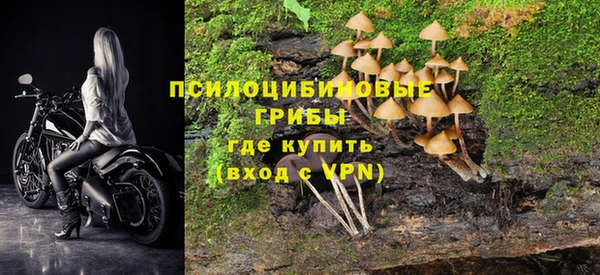 MESCALINE Магадан
