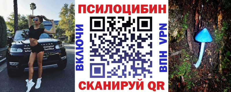 Галлюциногенные грибы MAGIC MUSHROOMS  магазин продажи   Чегем 